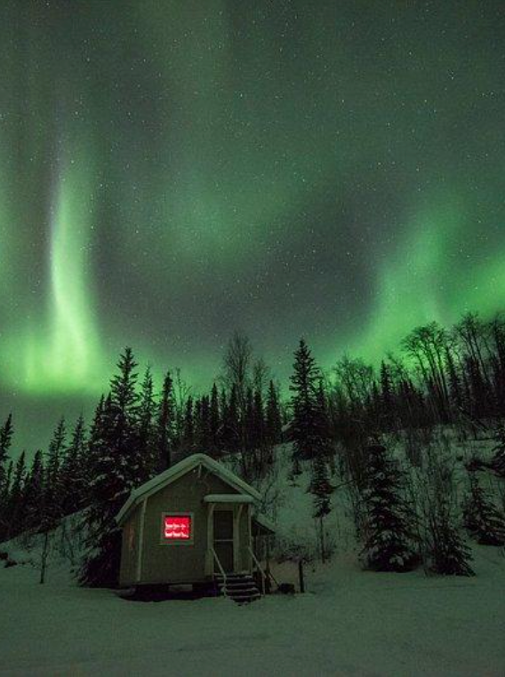 My Off-Grid Living / Homesteader Skills Checklist