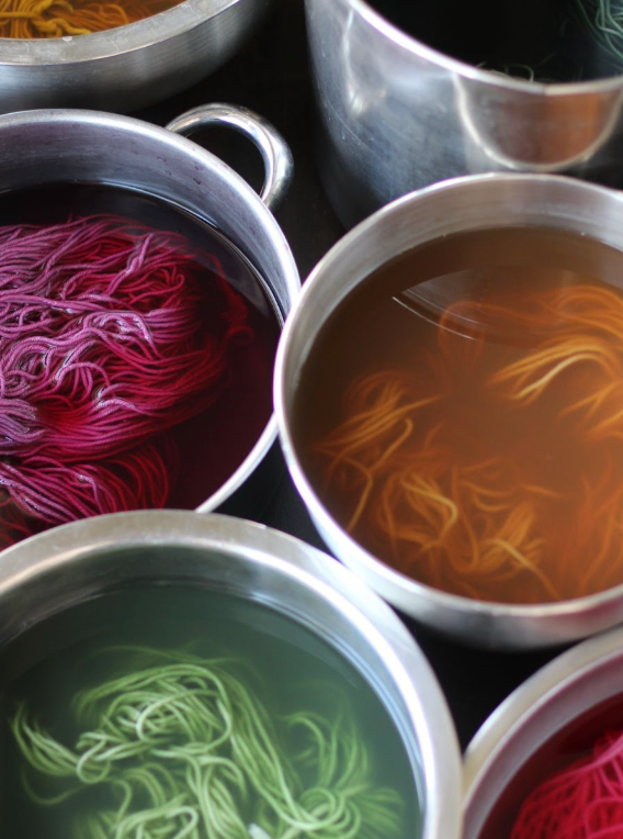 Wild Dyes: A Guide to Dyeing with Plants