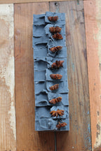 Black Spruce & Star Anise Soap Bar