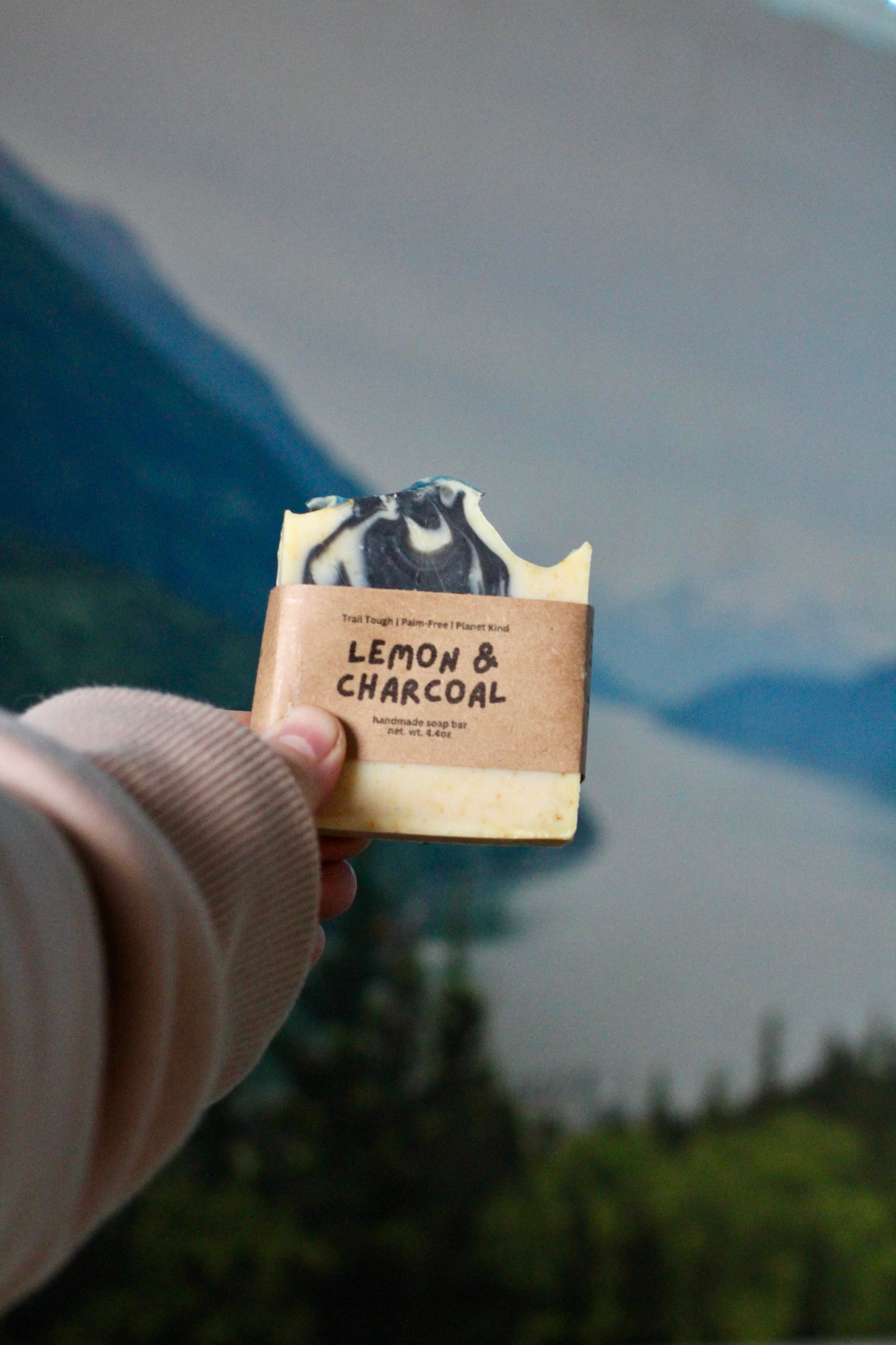 Lemon & Charcoal Natural Soap Bar