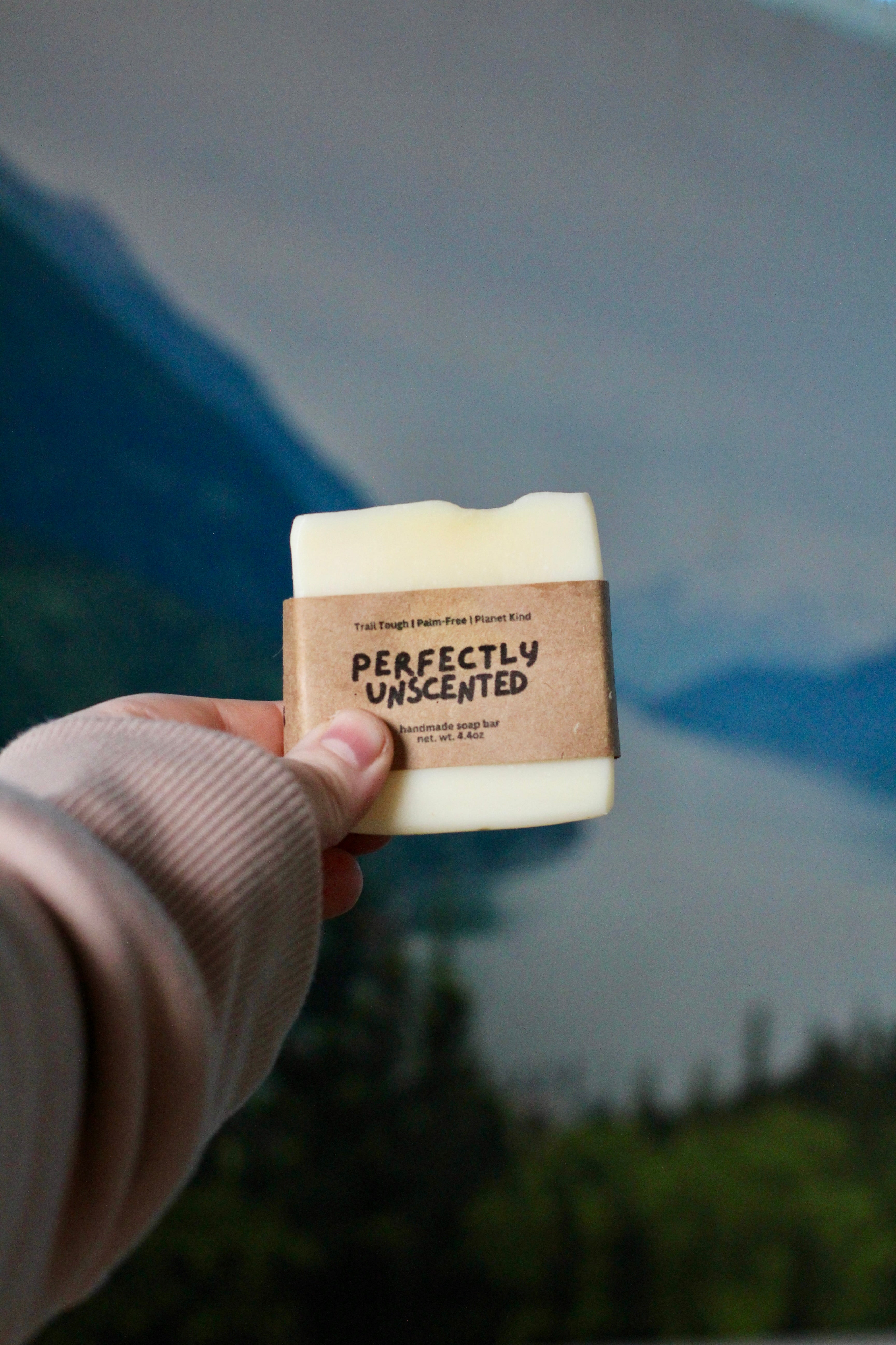 Perfectly Unscented Natural Soap Bar